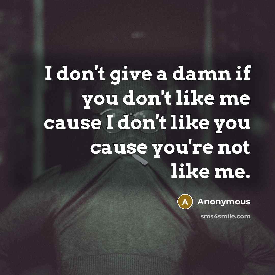 “I don't give a damn if you don't like me cause I don't like you cause you're not like me.” quote by Anonymous