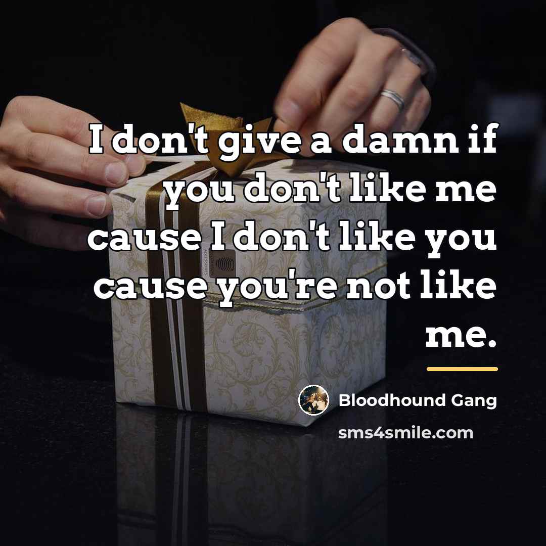 “I don't give a damn if you don't like me…” quote by Anonymous