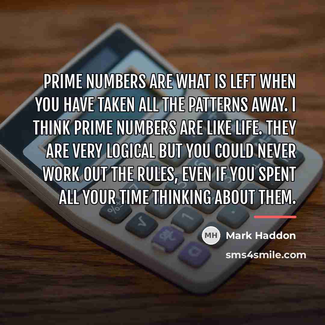 “Prime numbers are what is left when you have taken…” quote by Mark Haddon