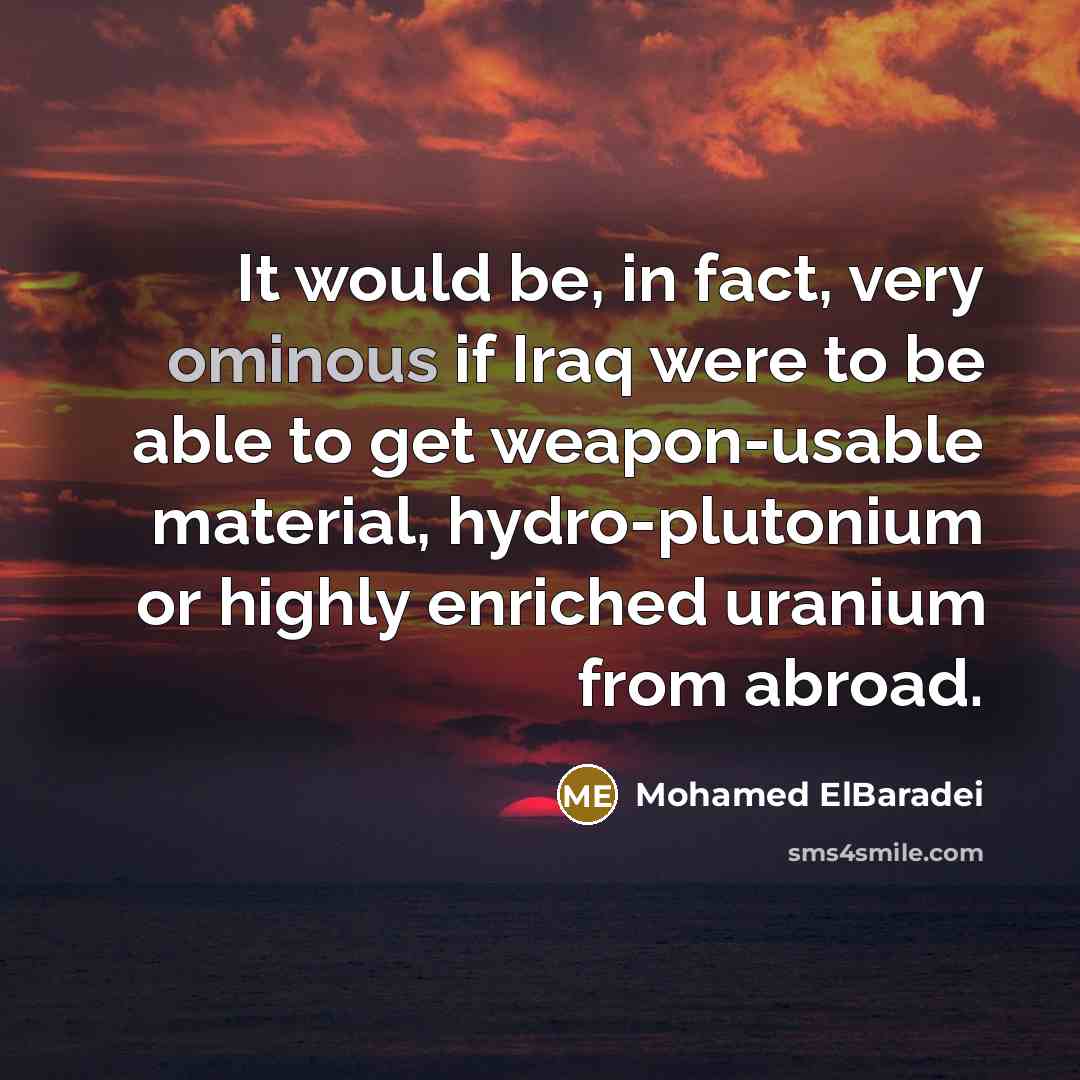 “It would be, in fact, very ominous if Iraq were…” quote by Mohamed ElBaradei
