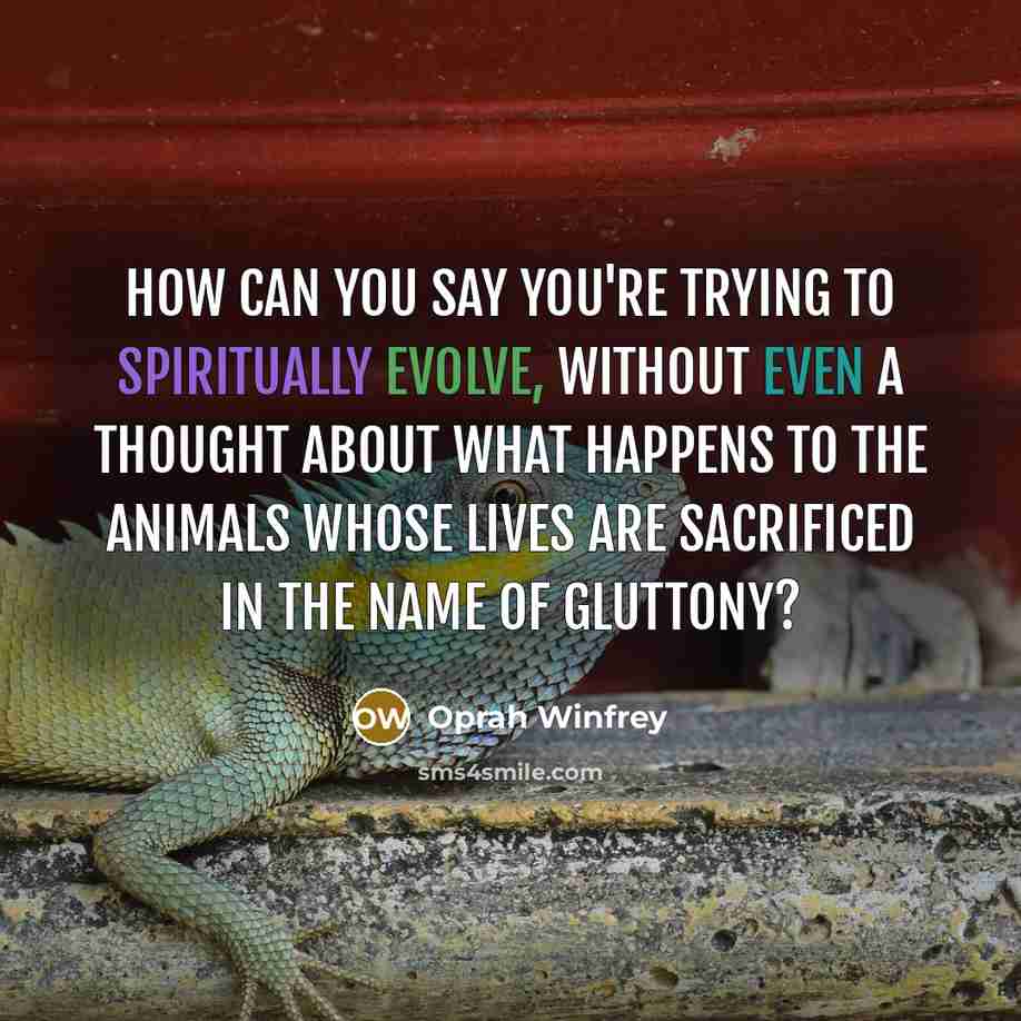 “How can you say you're trying to spiritually evolve, without…” quote by Oprah Winfrey
