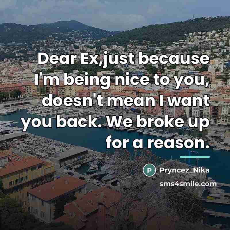 “Dear Ex,just because I'm being nice to you, doesn't mean…” quote by Pryncez_Nika