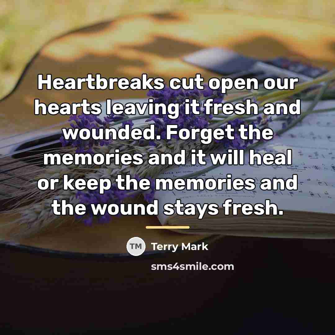 “Heartbreaks cut open our hearts leaving it fresh and wounded.…” quote by Terry Mark