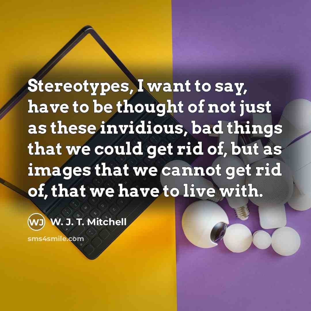 “Stereotypes, I want to say, have to be thought of…” quote by W. J. T. Mitchell