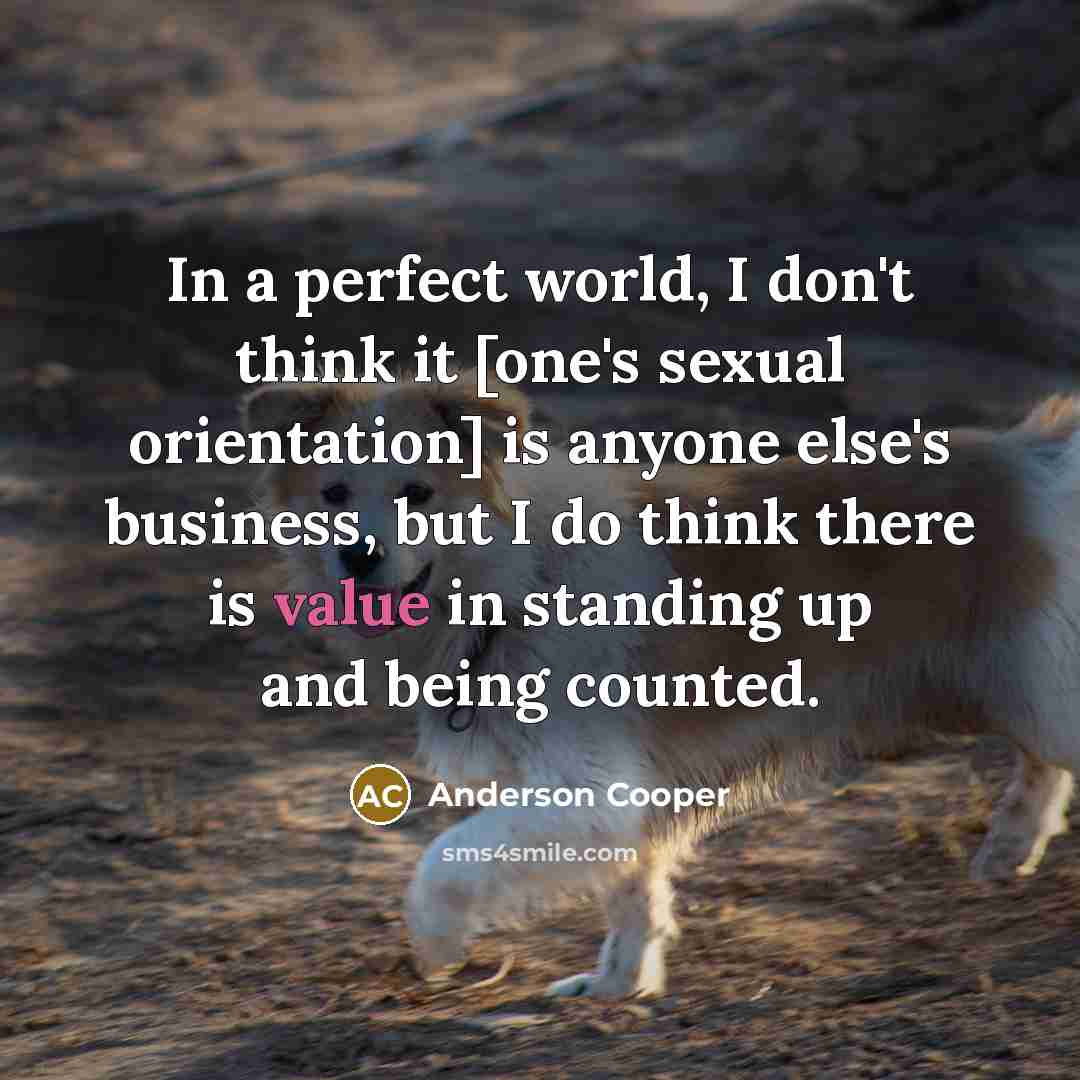 “In a perfect world, I don't think it [one's sexual…” quote by Anderson Cooper