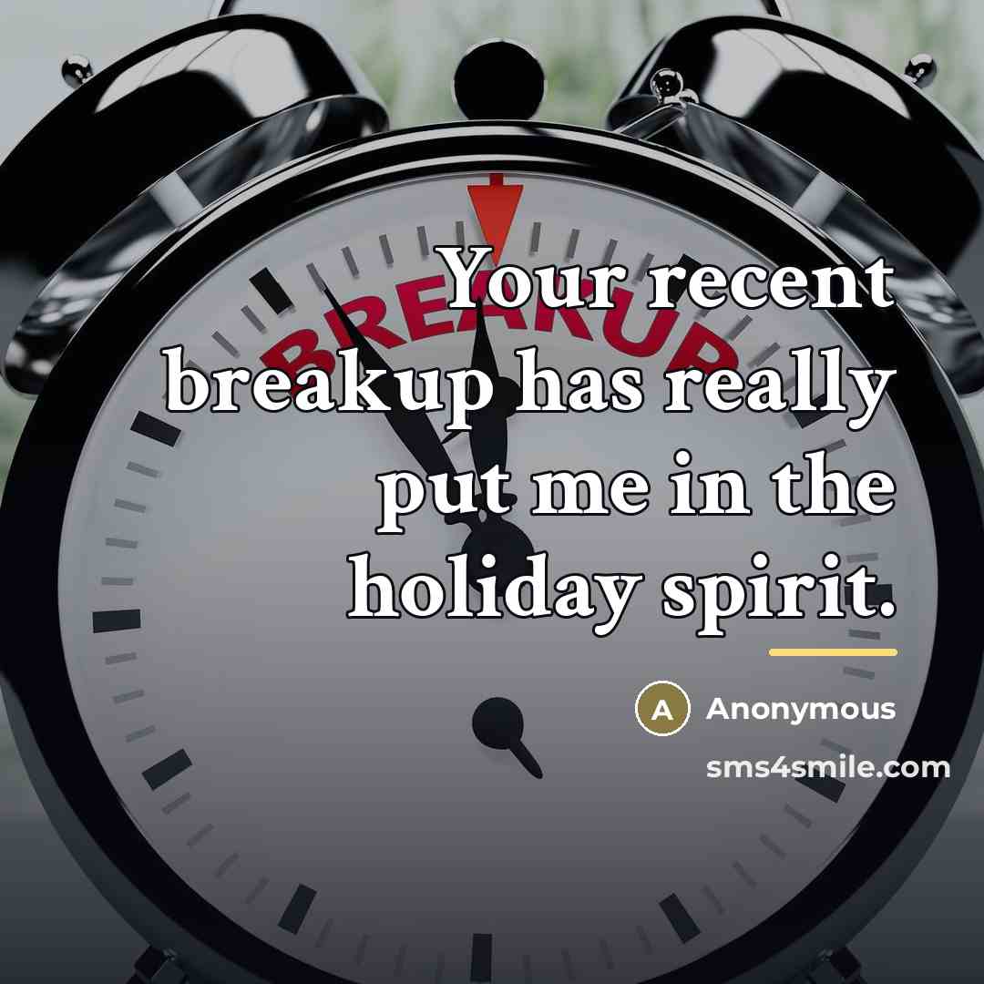 “Your recent breakup has really put me in the holiday…” quote by Anonymous