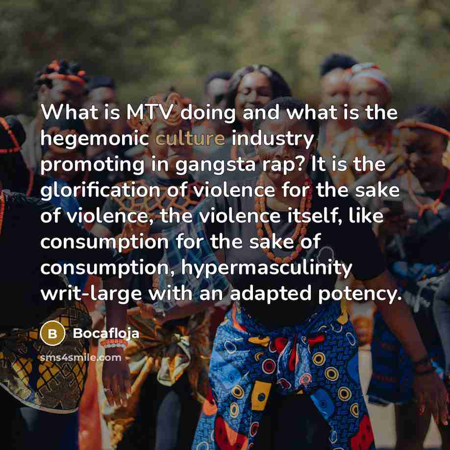 “What is MTV doing and what is the hegemonic culture…” quote by Bocafloja
