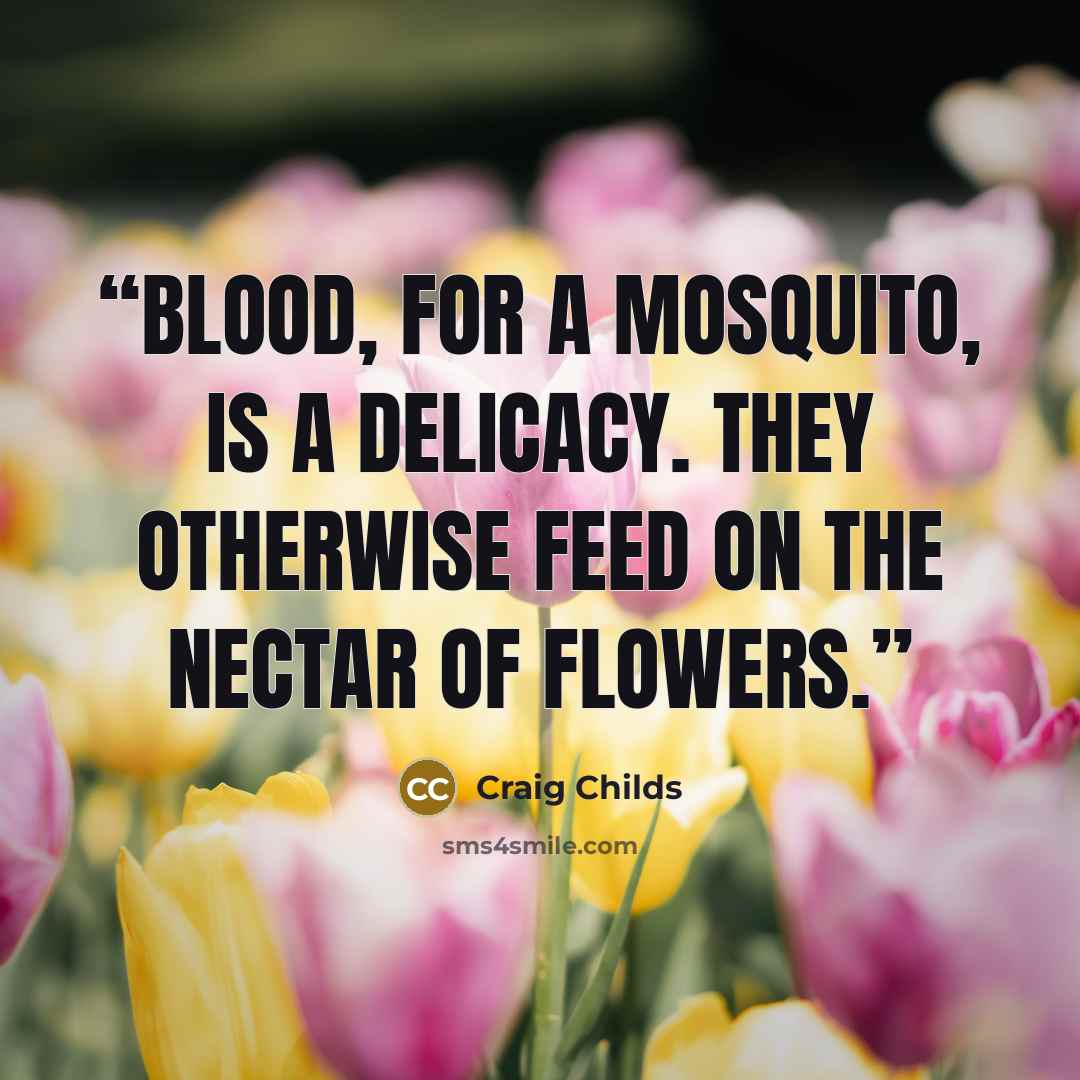 “Blood, for a mosquito, is a delicacy. They otherwise feed on the nectar of flowers.” quote by Craig Childs