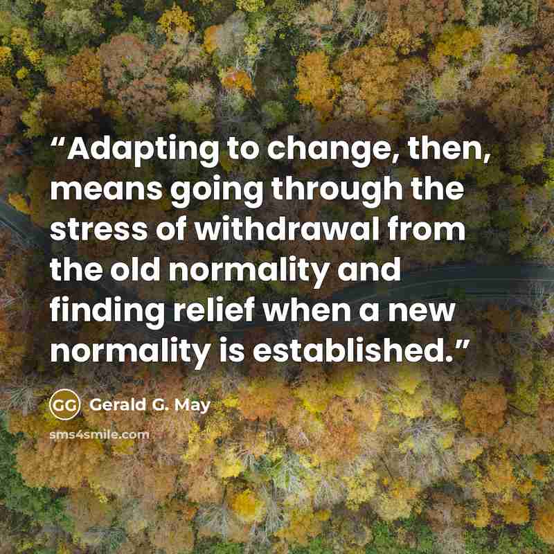 “Adapting to change, then, means going through the stress of withdrawal from the old normality and finding relief when a new normality is established.” quote by Gerald G. May