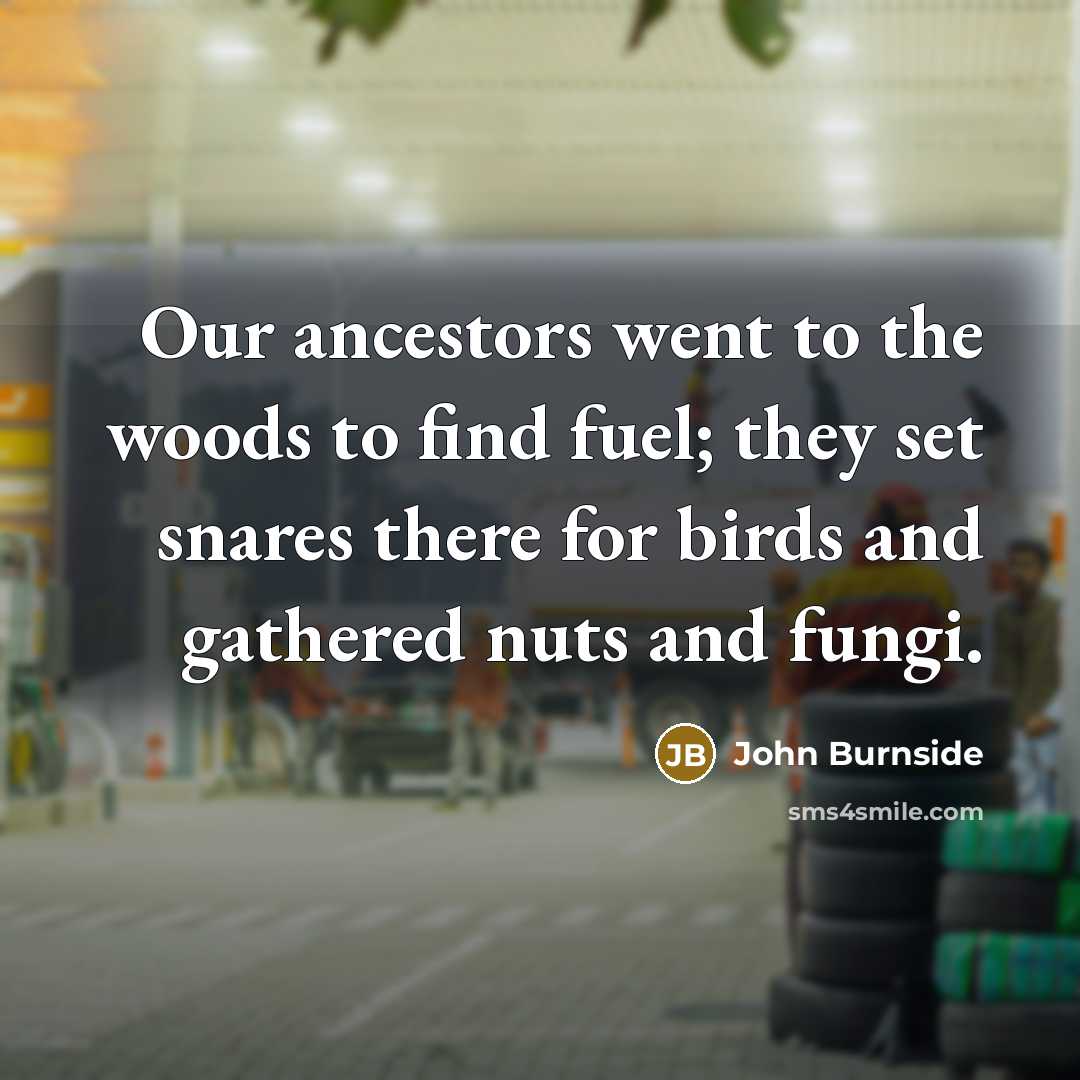 “Our ancestors went to the woods to find fuel; they…” quote by John Burnside