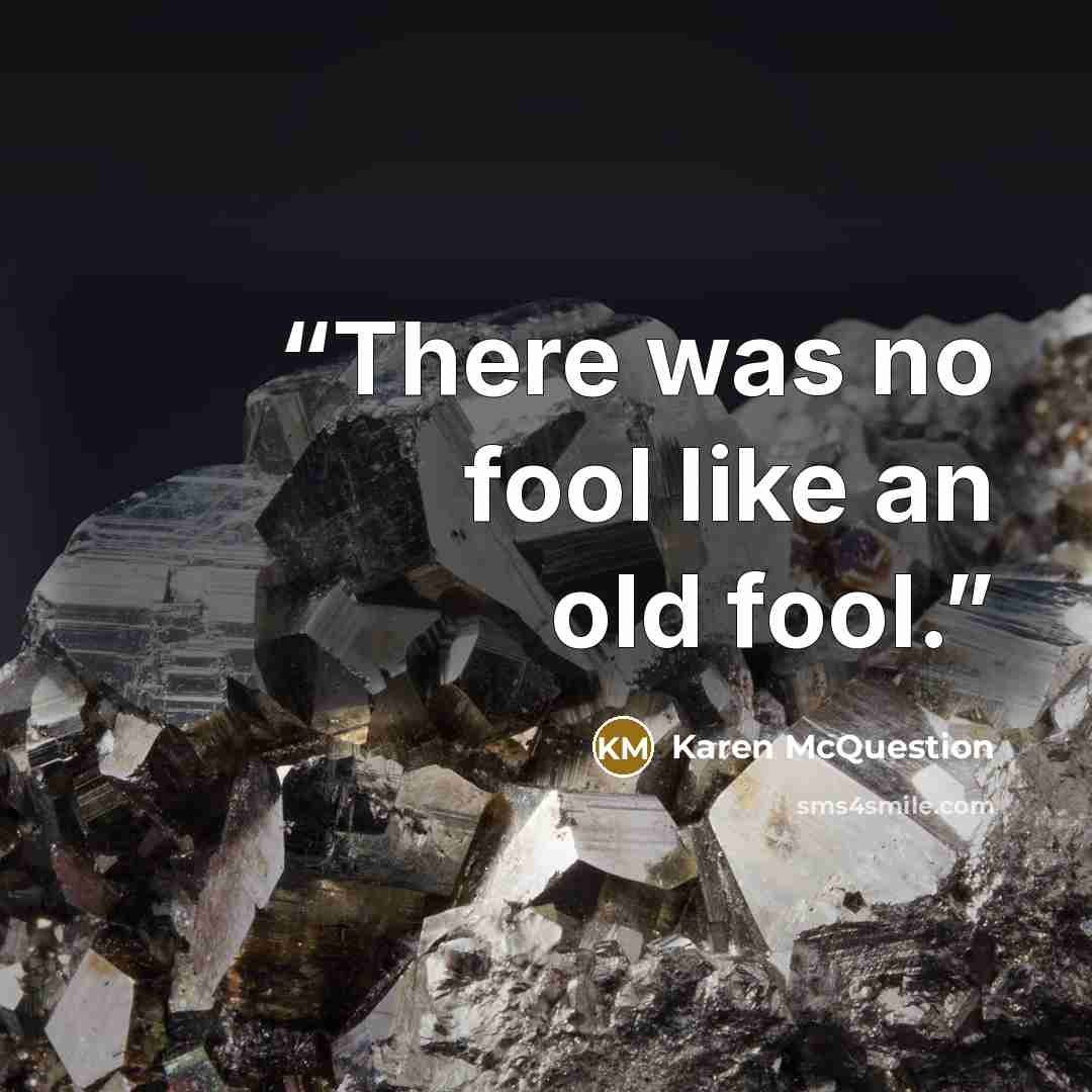 “There was no fool like an old fool.” quote by Karen McQuestion