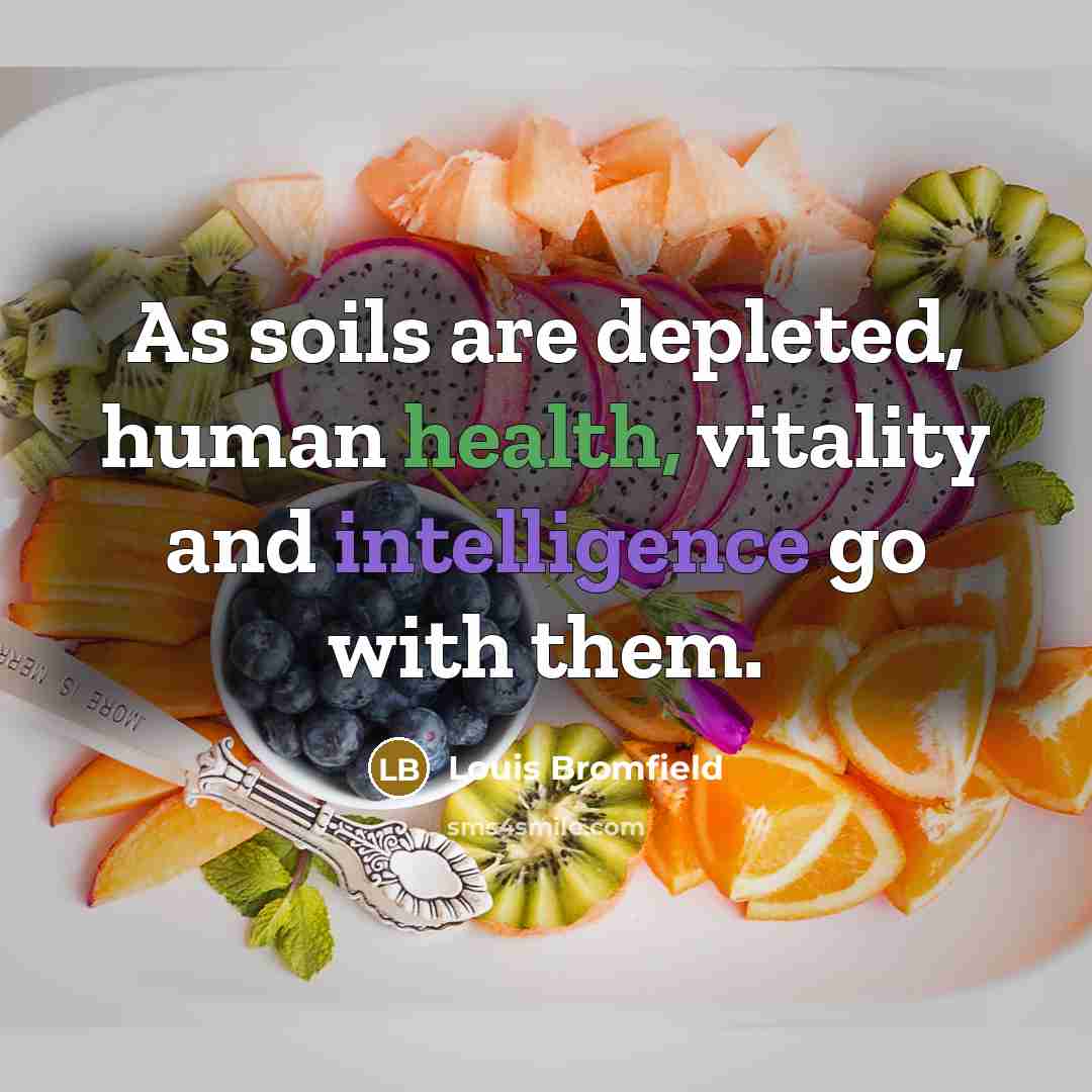 “As soils are depleted, human health, vitality and intelligence go…” quote by Louis Bromfield