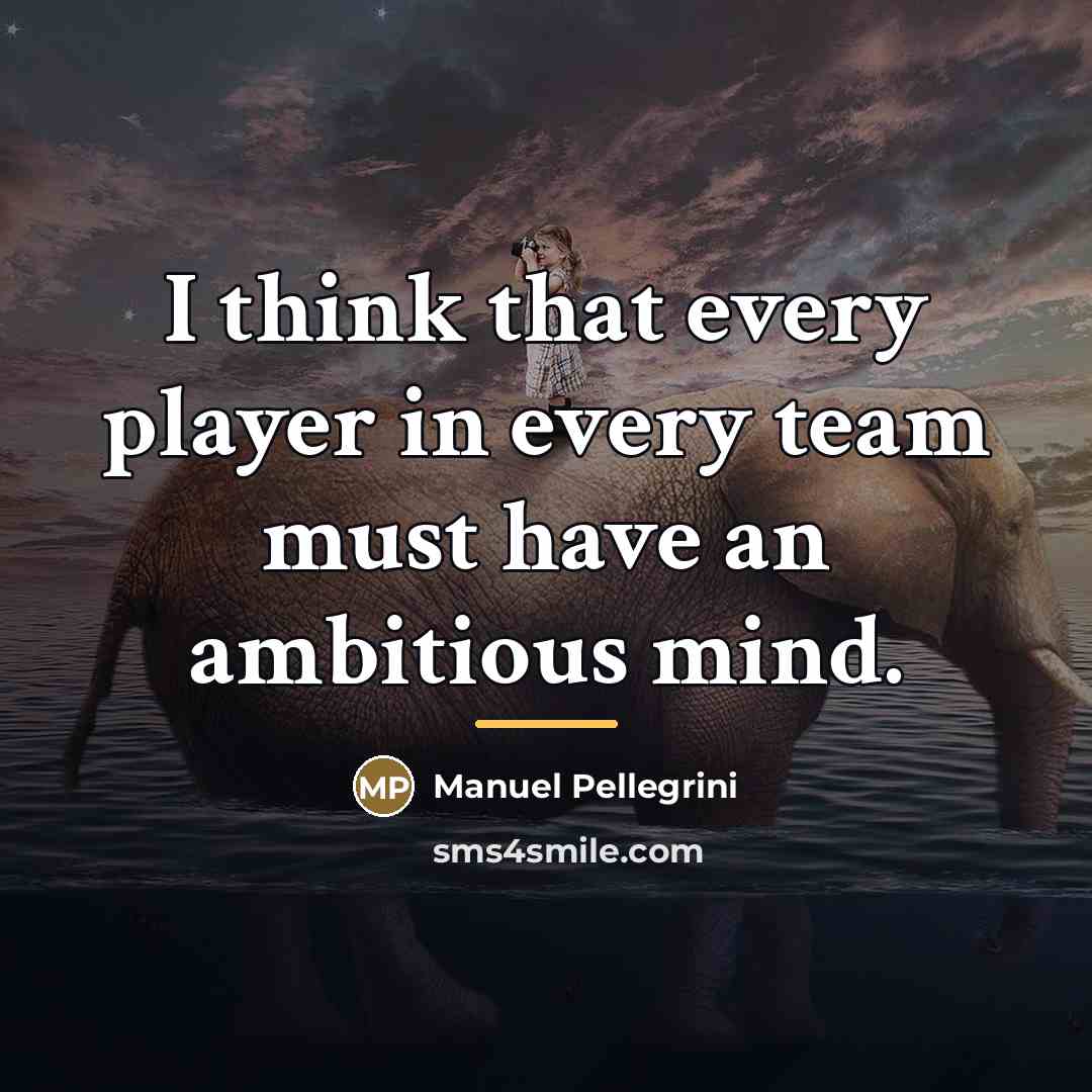 “I think that every player in every team must have…” quote by Manuel Pellegrini