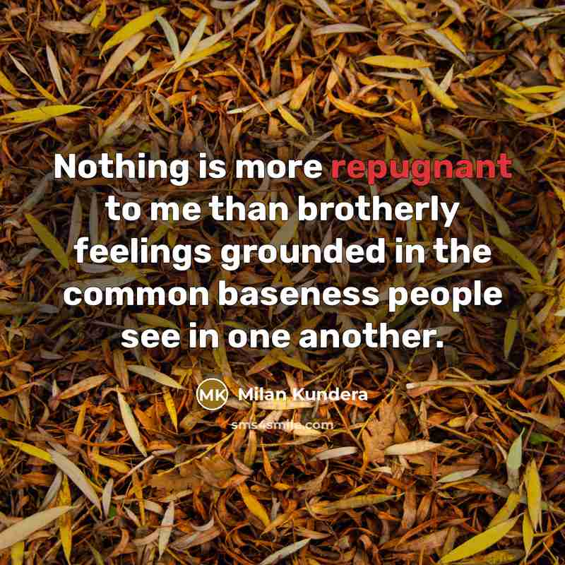 “Nothing is more repugnant to me than brotherly feelings grounded…” quote by Milan Kundera