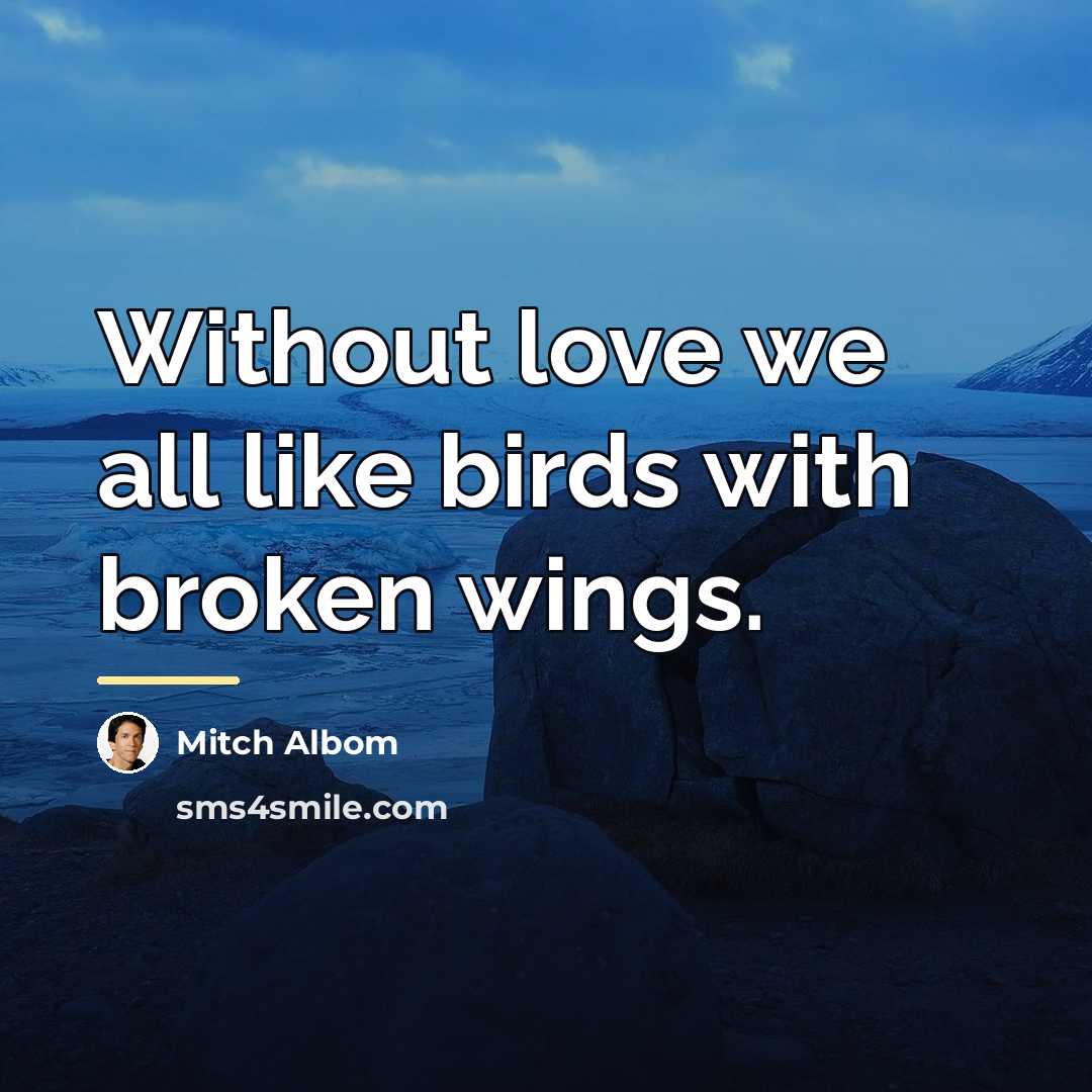 “Without love we all like birds with broken wings.…” quote by Mitch Albom