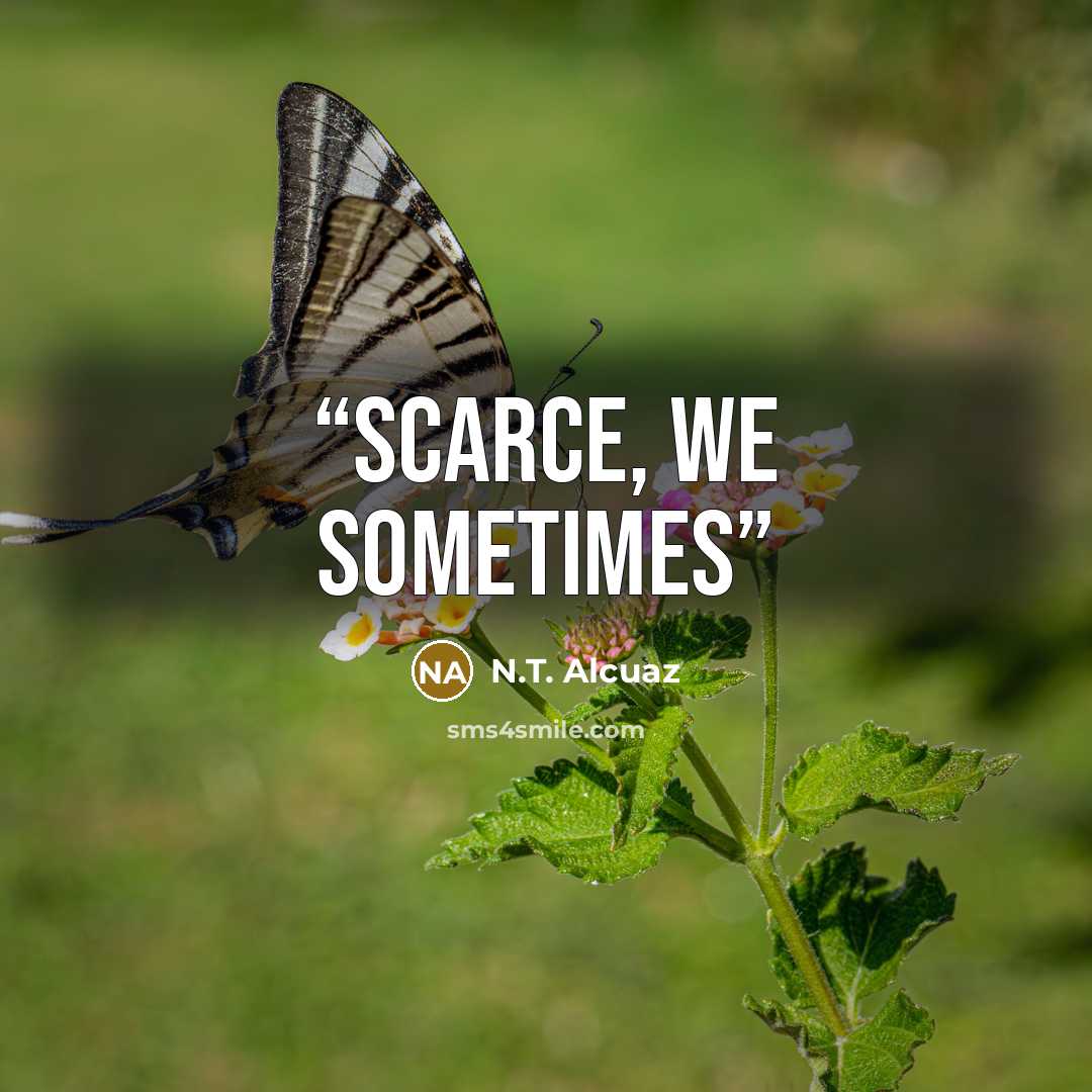 “scarce, we sometimes” quote by N.T. Alcuaz