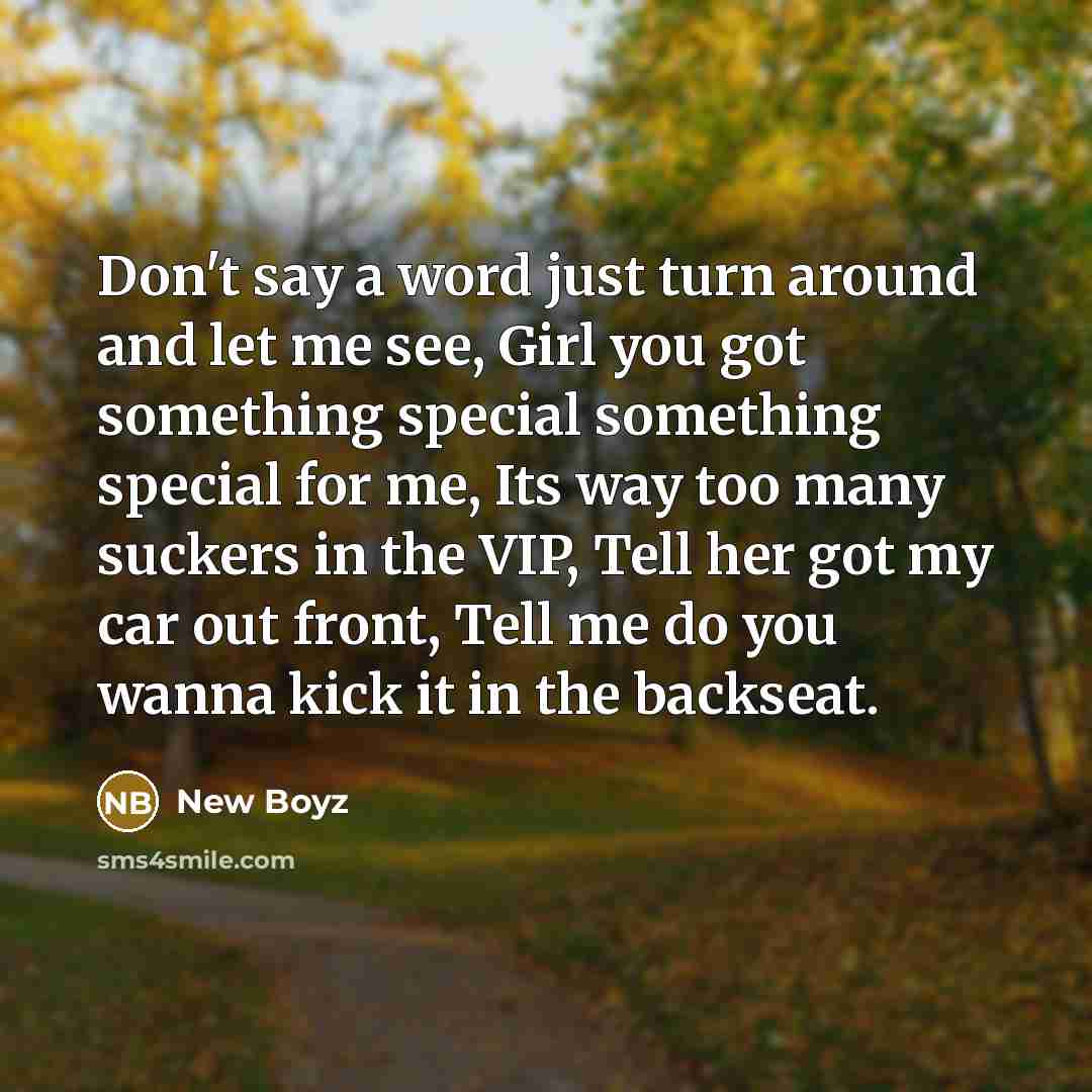 “Don't say a word just turn around and let me…” quote by New Boyz