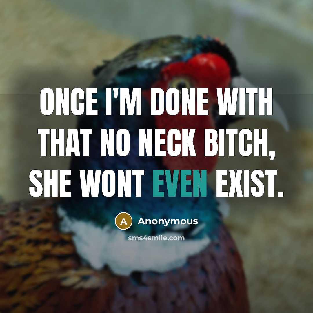 “Once I'm done with that no neck bitch, she wont even exist.” quote by Anonymous