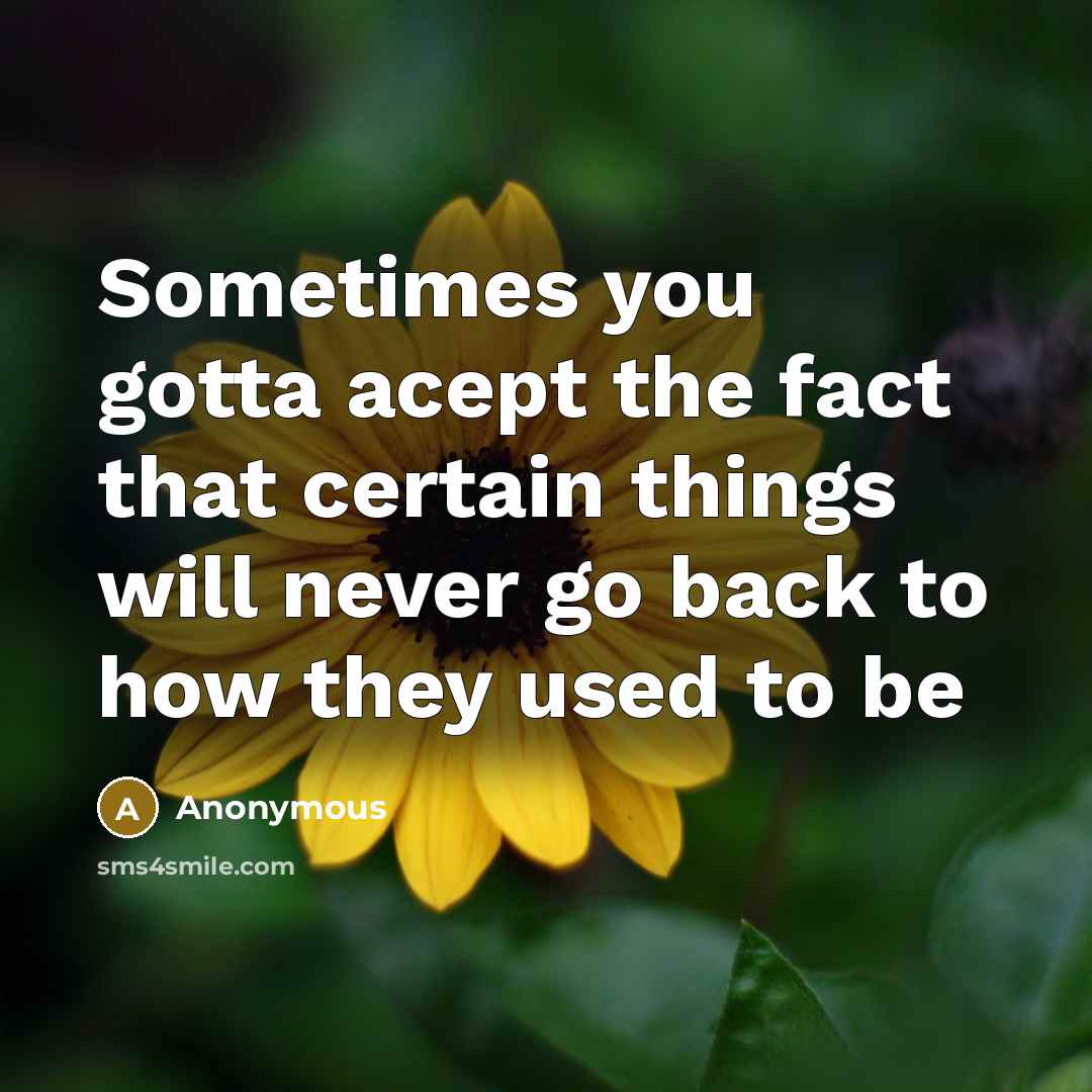 “Sometimes you gotta acept the fact that certain things will never go back to how they used to be” quote by Anonymous