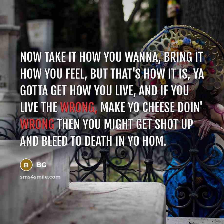“Now take it how you wanna, bring it how you…” quote by BG