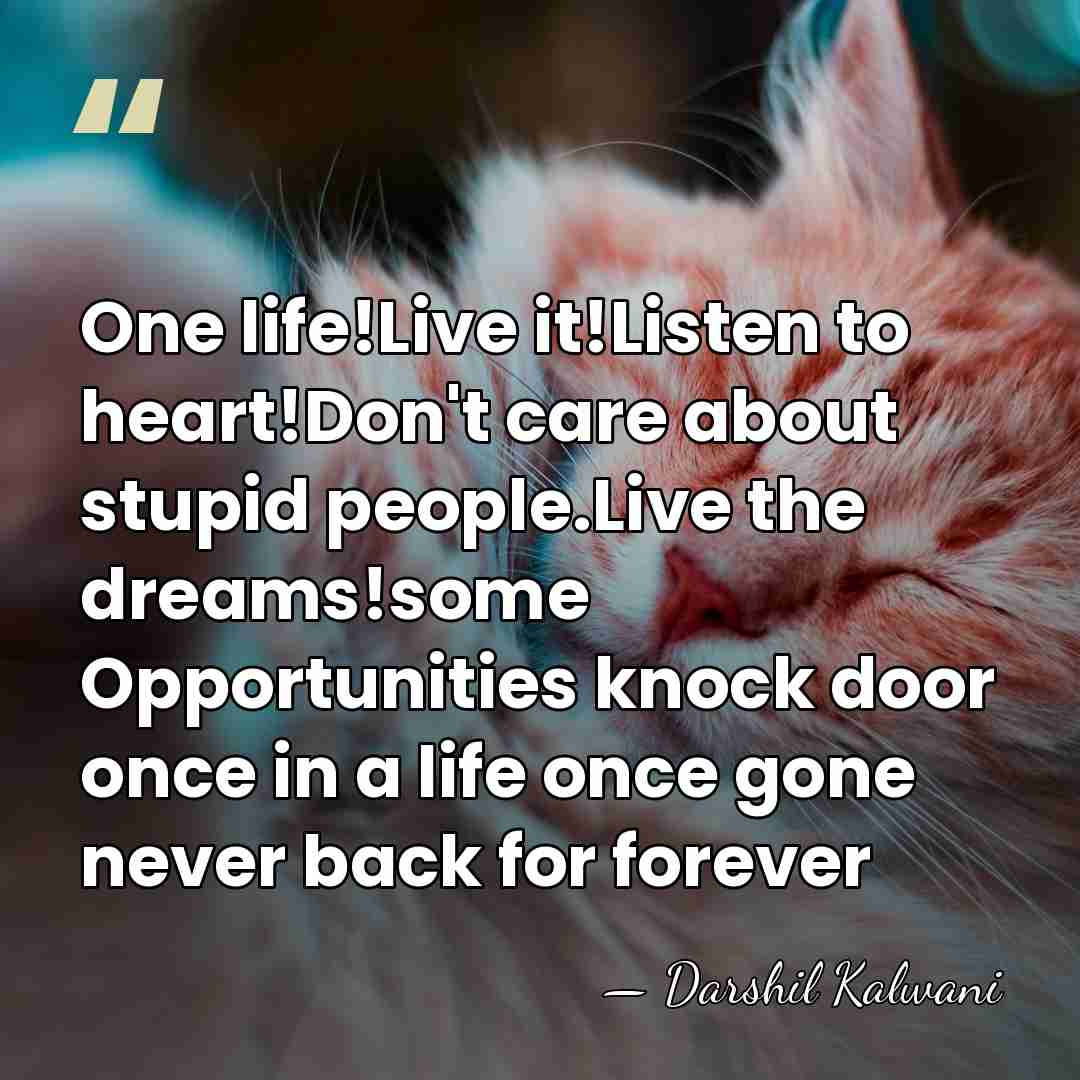 One life!Live it!Listen to heart!Don't care about stupid people.Live the dreams!some Opportunities&hellip; - Darshil Kalwani