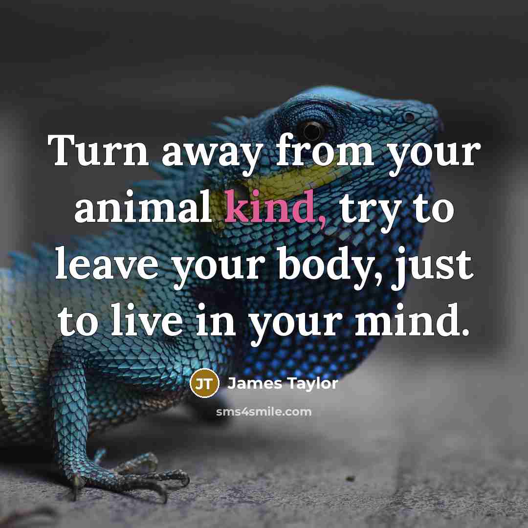“Turn away from your animal kind, try to leave your…” quote by James Taylor