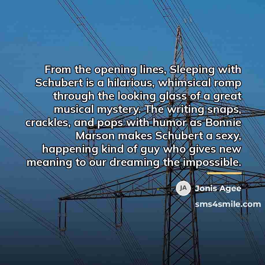 “From the opening lines, Sleeping with Schubert is a hilarious,…” quote by Jonis Agee