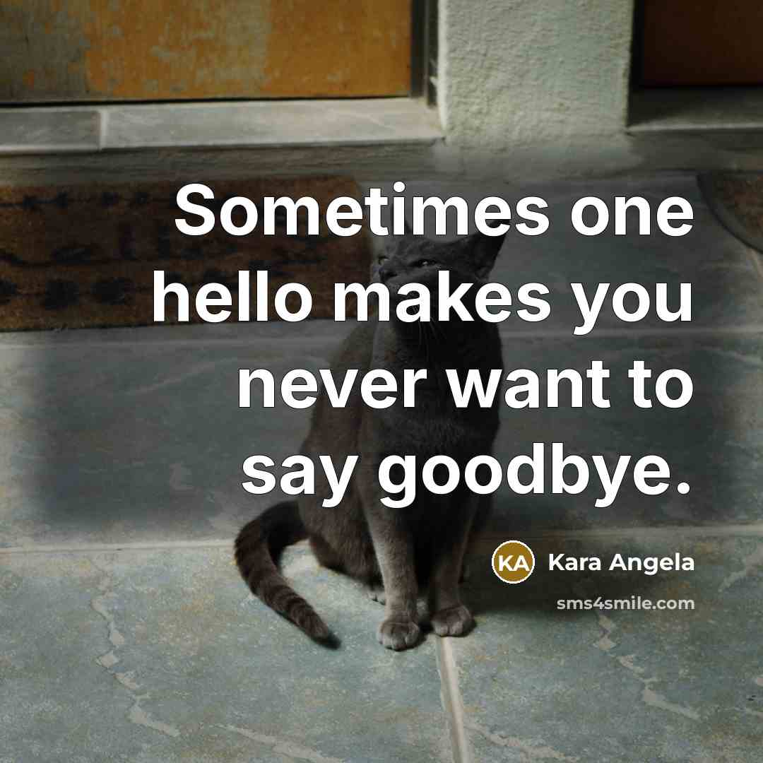 “Sometimes one hello makes you never want to say goodbye.…” quote by Kara Angela