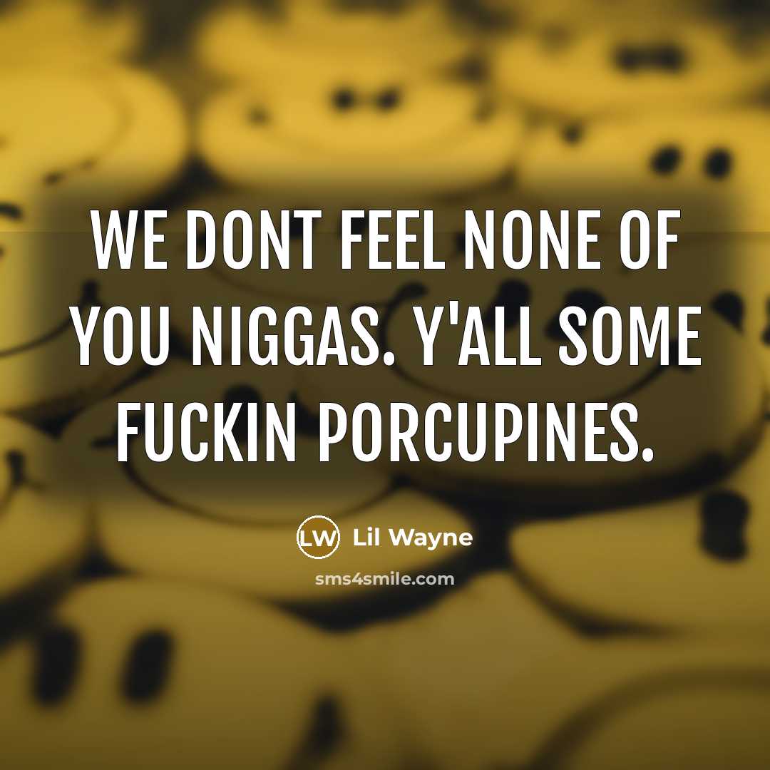 “We dont feel none of you niggas. Y'all some fuckin porcupines.” quote by Lil Wayne