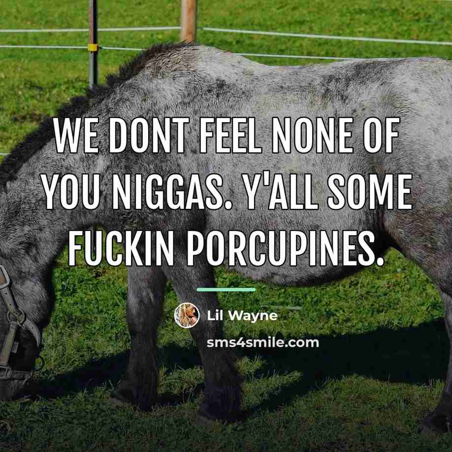 “We dont feel none of you niggas. Y'all some fuckin…” quote by Lil Wayne