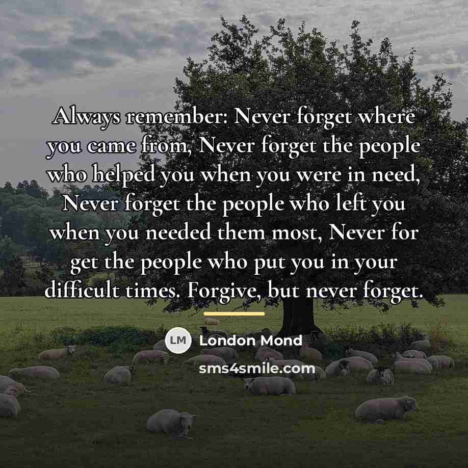 “Always remember: Never forget where you came from, Never forget…” quote by London Mond