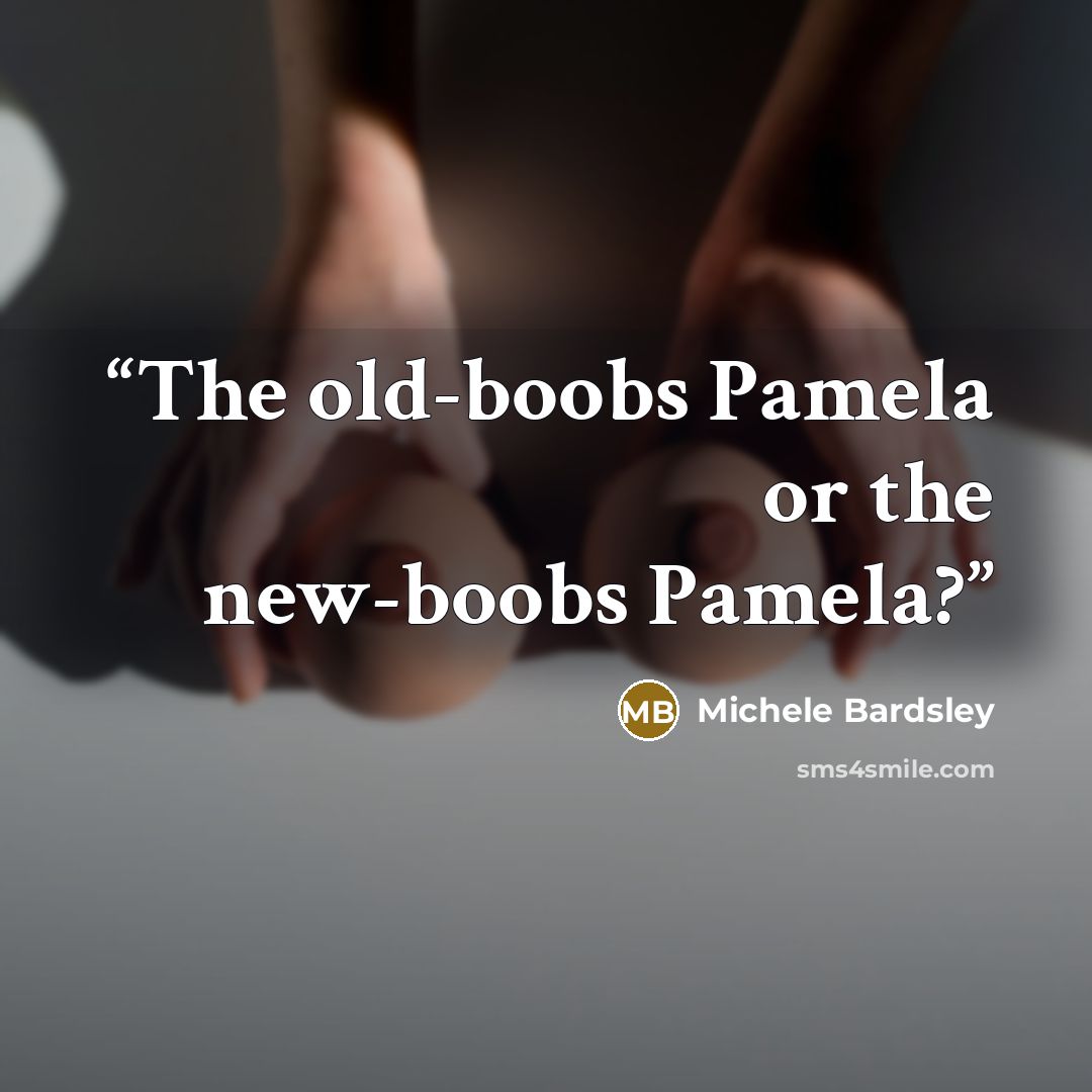 “The old-boobs Pamela or the new-boobs Pamela?” quote by Michele Bardsley