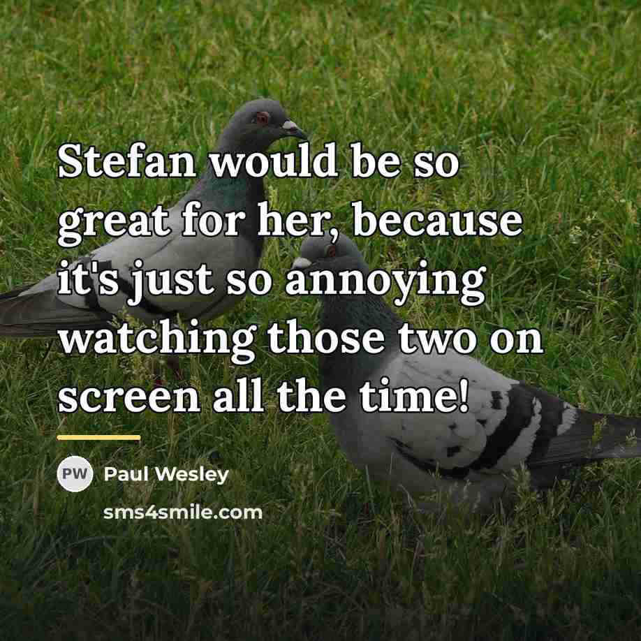 “Stefan would be so great for her, because it's just…” quote by Paul Wesley