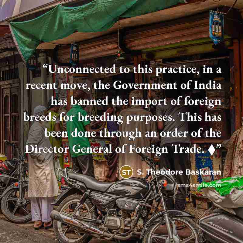 “Unconnected to this practice, in a recent move, the Government of India has banned the import of foreign breeds for breeding purposes. This has been done through an order of the Director General of Foreign Trade. ◆” quote by S. Theodore Baskaran