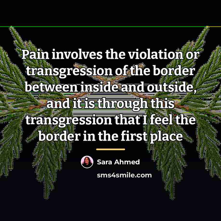 “Pain involves the violation or transgression of the border between…” quote by Sara Ahmed