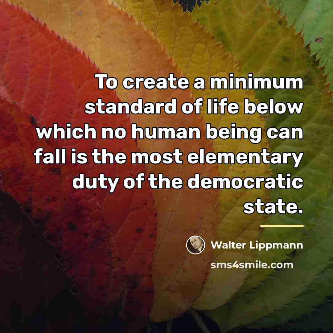 “To create a minimum standard of life below which no…” quote by Walter Lippmann