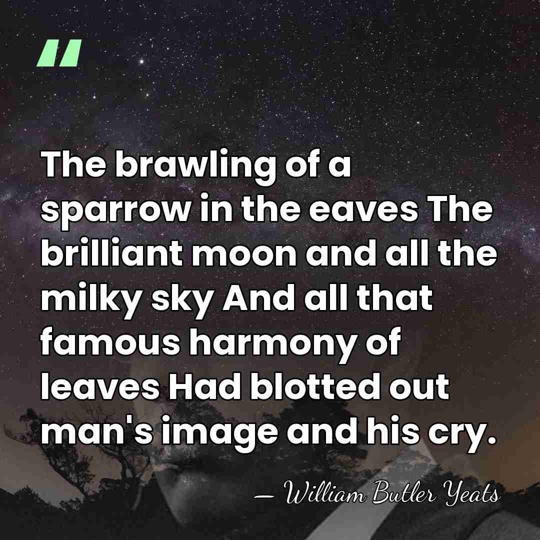 The brawling of a sparrow in the eaves The brilliant moon and&hellip; - William Butler Yeats