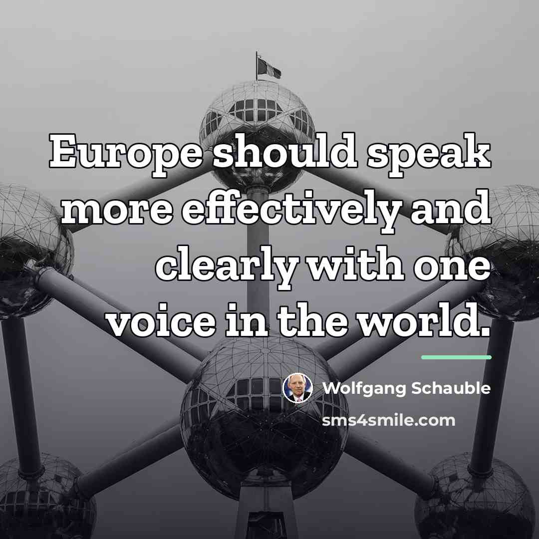 “Europe should speak more effectively and clearly with one voice…” quote by Wolfgang Schauble
