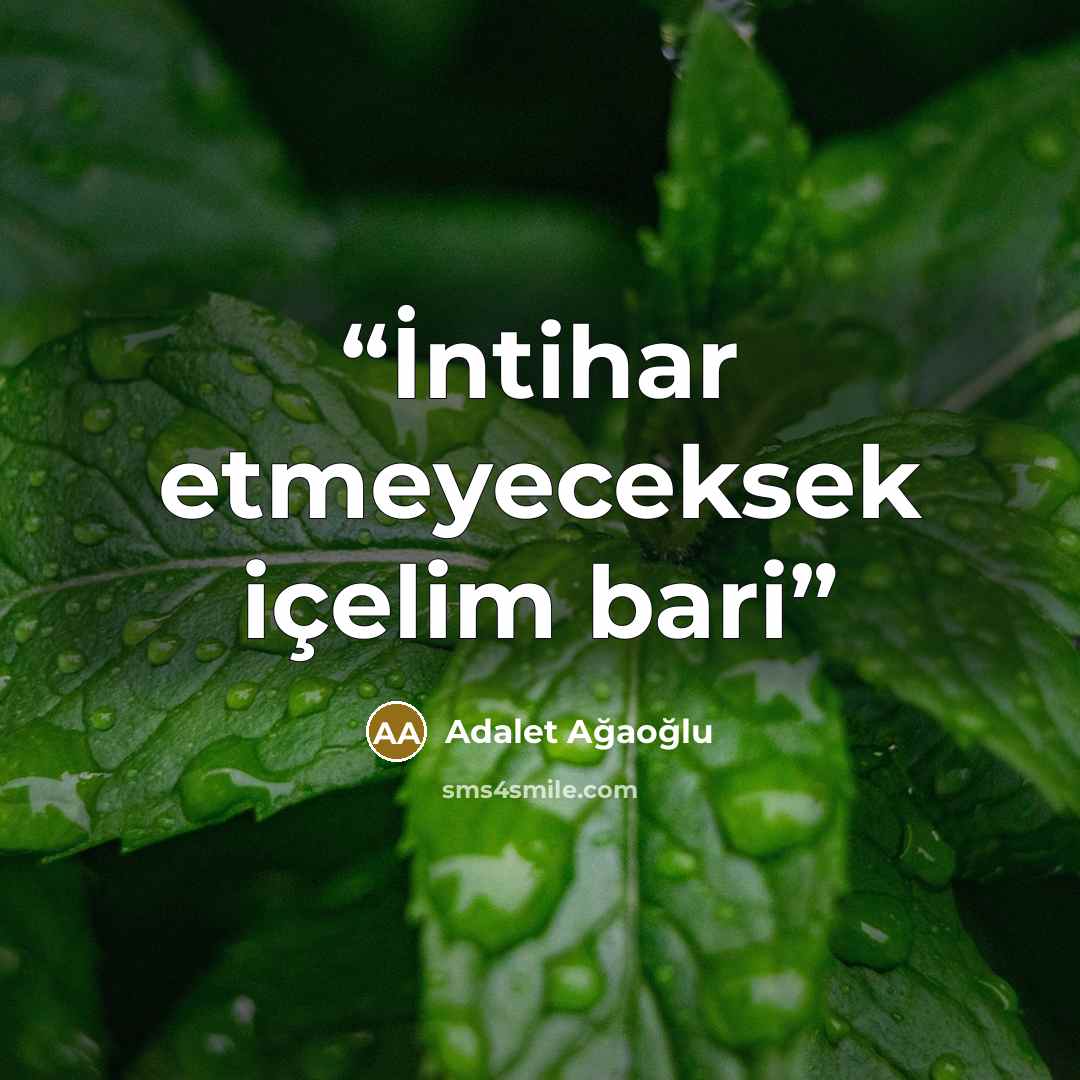 “İntihar etmeyeceksek içelim bari” quote by Adalet Ağaoğlu