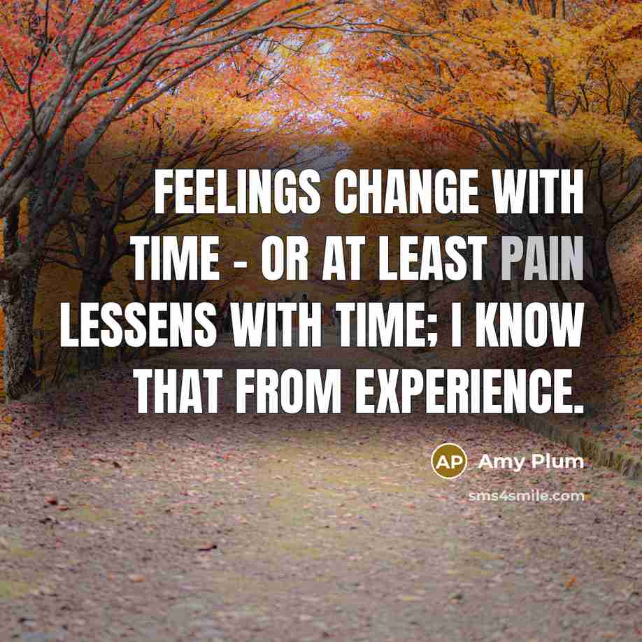 “Feelings change with time - or at least pain lessens…” quote by Amy Plum