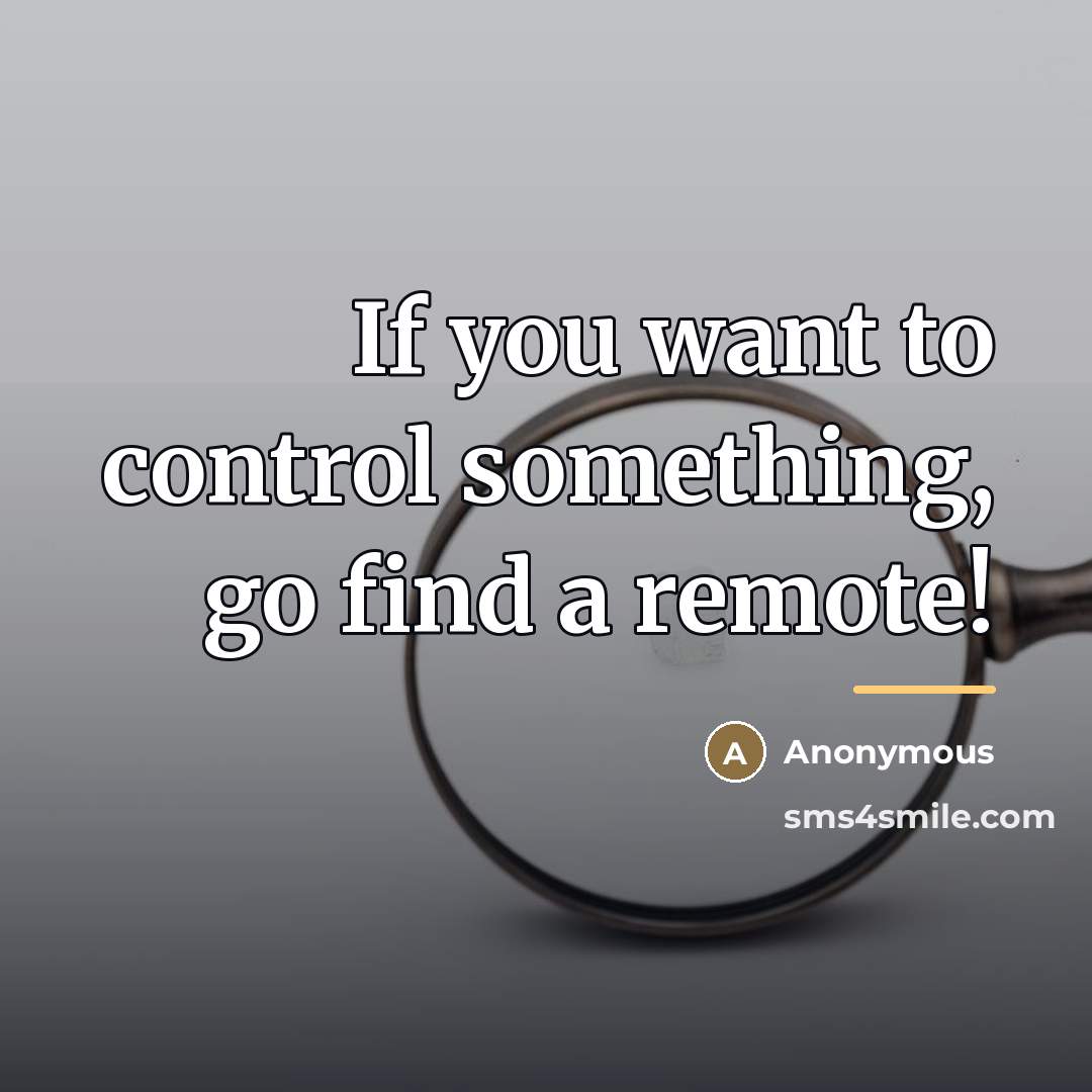“If you want to control something, go find a remote!…” quote by Anonymous