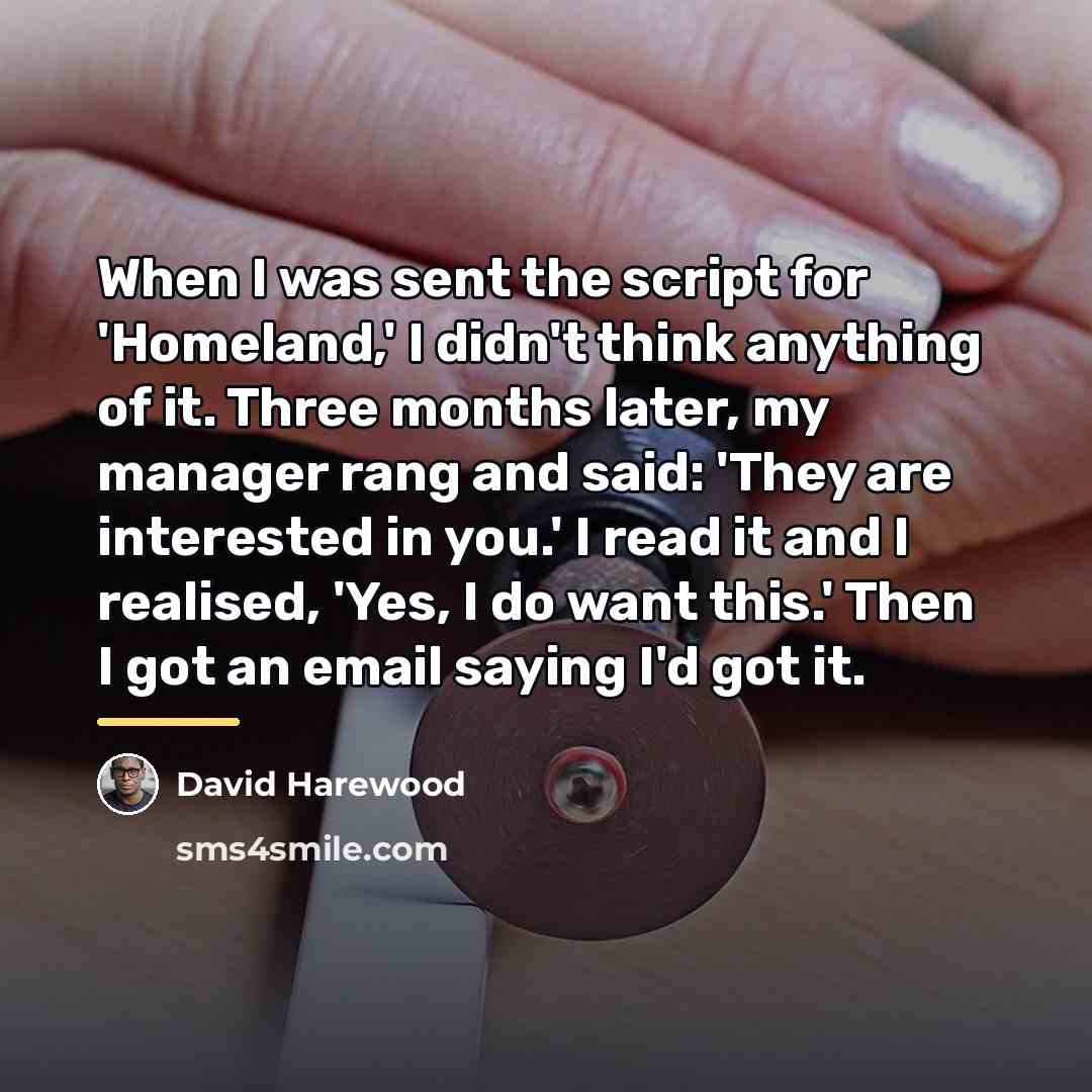“When I was sent the script for 'Homeland,' I didn't…” quote by David Harewood