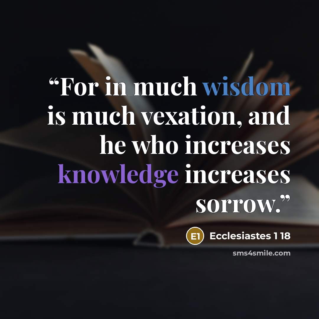 “For in much wisdom is much vexation, and he who increases knowledge increases sorrow.” quote by Ecclesiastes 1 18