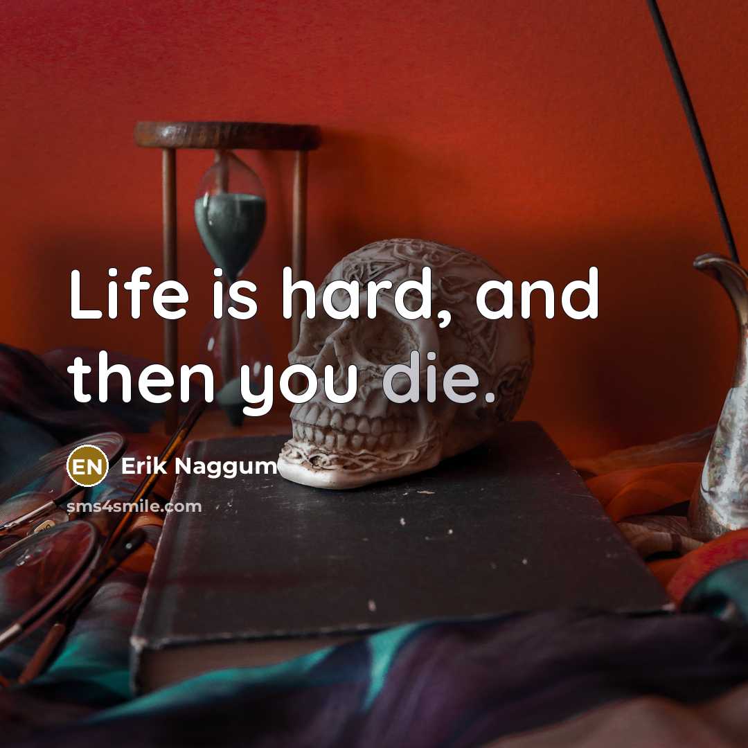 “Life is hard, and then you die.” quote by Erik Naggum