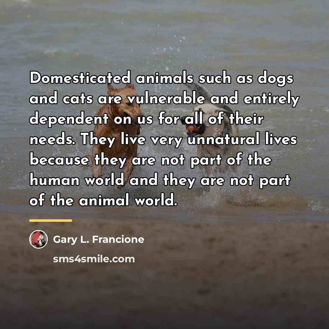 “Domesticated animals such as dogs and cats are vulnerable and…” quote by Gary L. Francione