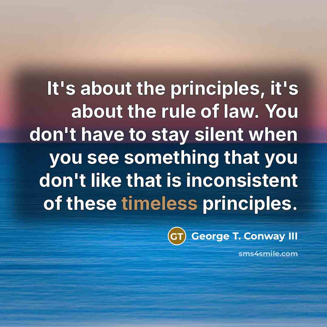 “It's about the principles, it's about the rule of law.…” quote by George T. Conway III