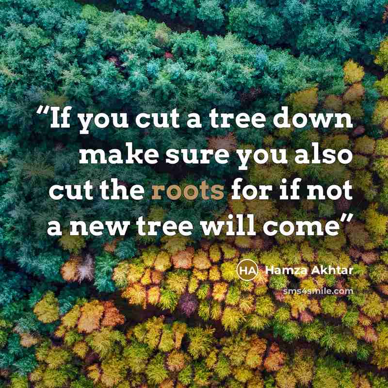 “If you cut a tree down make sure you also cut the roots for if not a new tree will come” quote by Hamza Akhtar