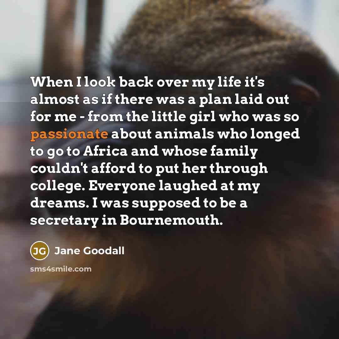 “When I look back over my life it's almost as…” quote by Jane Goodall