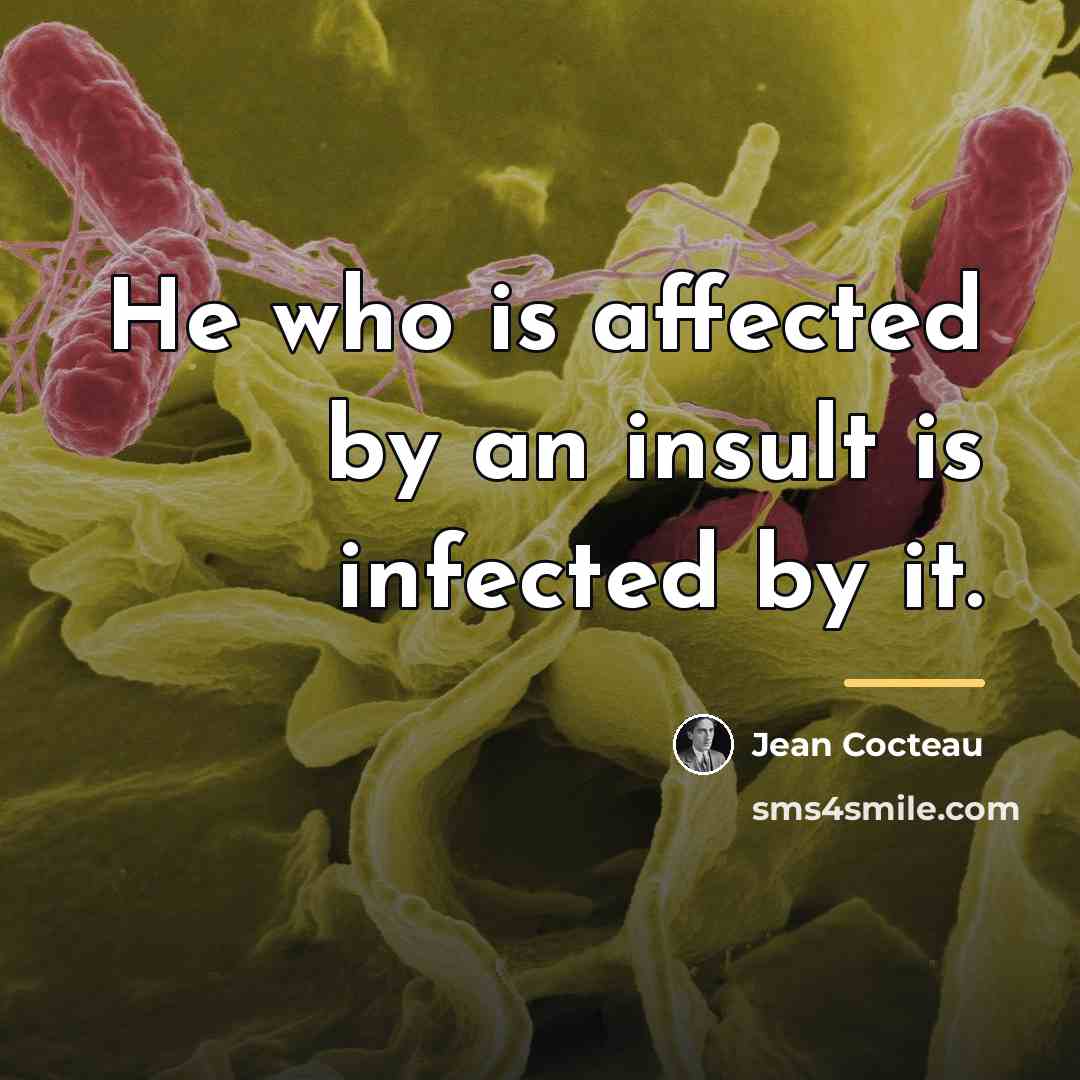 “He who is affected by an insult is infected by…” quote by Jean Cocteau
