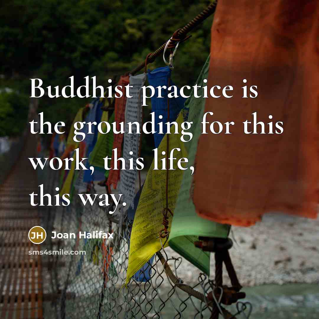 “Buddhist practice is the grounding for this work, this life,…” quote by Joan Halifax